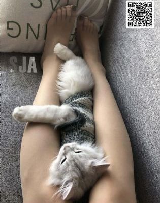 亚洲va电影_国语迅雷下载