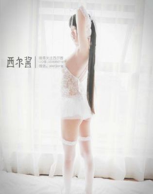 豚鼠系列2血肉之花免费_4K影视在线观看